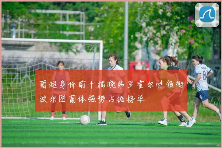葡超身价前十揭晓弗罗霍尔特领衔波尔图葡体强势占据榜单