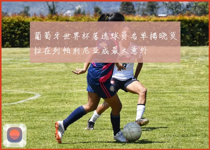 葡萄牙世界杯落选球员名单揭晓莫拉在列帕利尼亚成最大意外